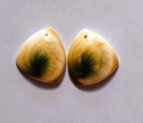 Cts natural shiva eye - 41,20,