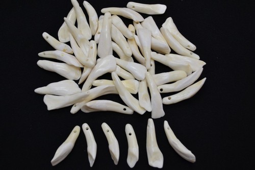 Ciondoli perline denti di - perline,